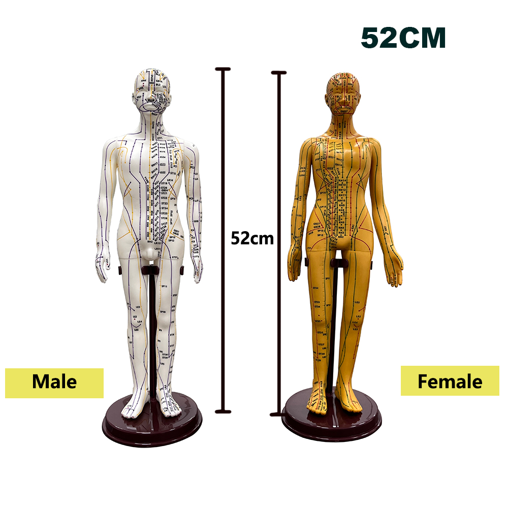 52 CM Yetişkin İnsan Vücudu Ak - Men'S Accessories Rack incelemesi ve fiyatı